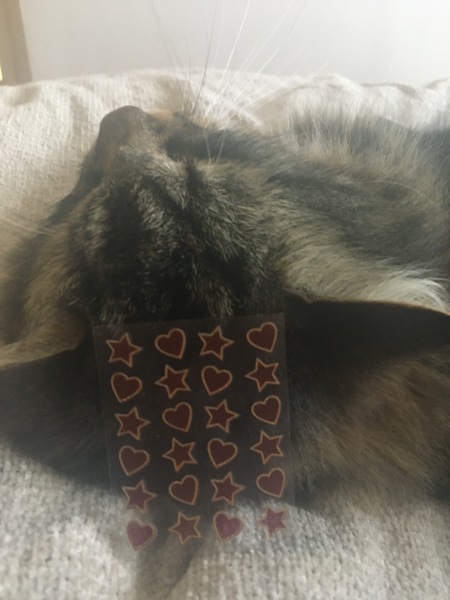 Sharing the Shitness - HOF Advent Calendar SPOILERS