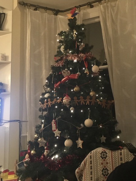 Lets see your trees!