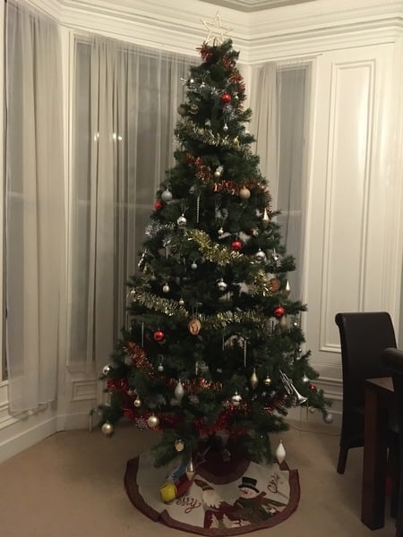 Lets see your trees!