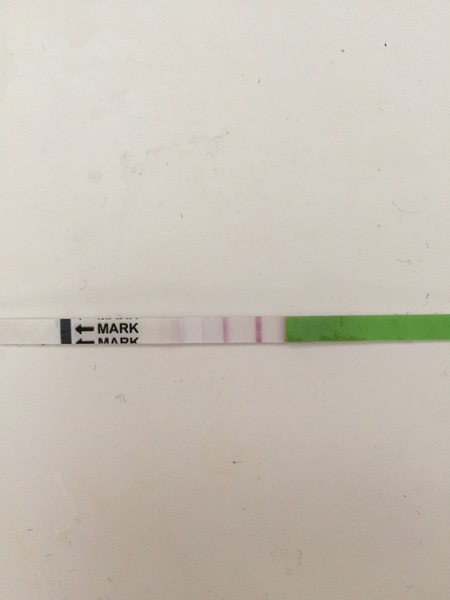TTC #2 (December BFPs)