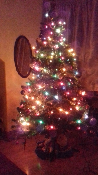 Lets see your trees!