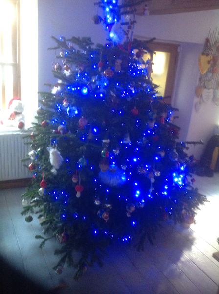 Lets see your trees!