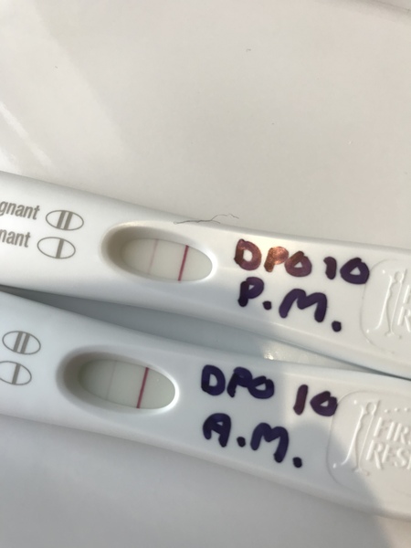 Can you check this FRER for me? Squinter?