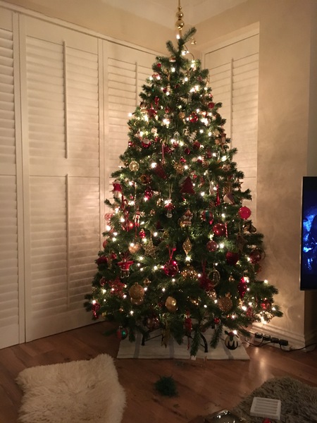 Lets see your trees!