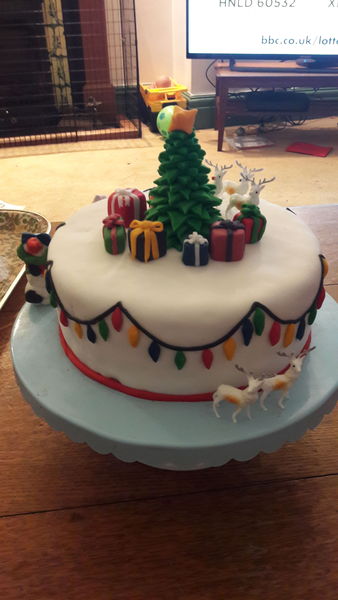Can we have a 'here's my Christmas cake' thread....