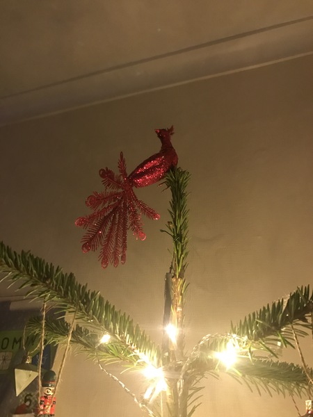 What, if anything, do you have on top of your tree?