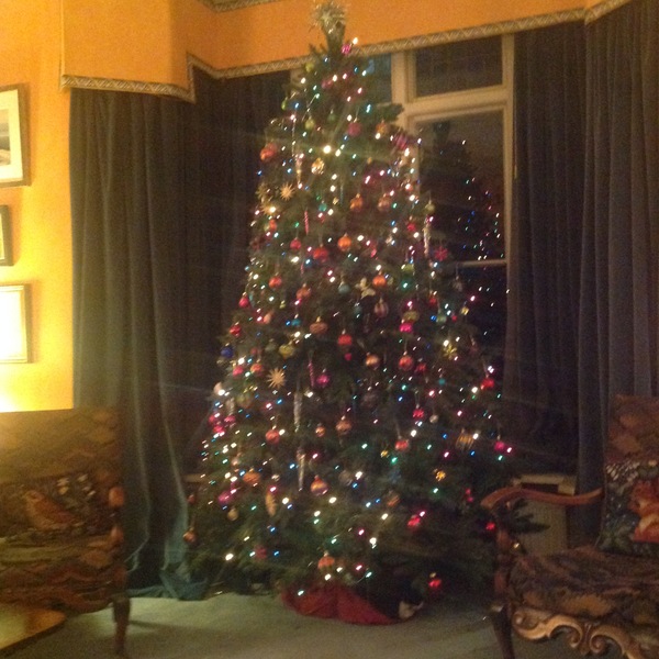 Lets see your trees!
