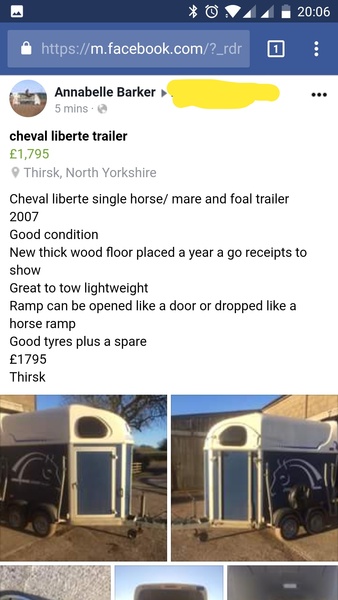 Has anyone got a single trailer?