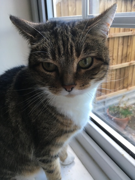 Sharing the Shitness - HOF Advent Calendar SPOILERS