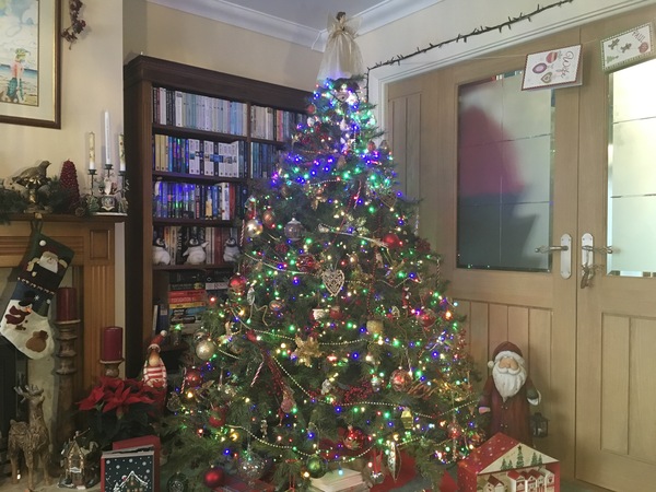 Lets see your trees!