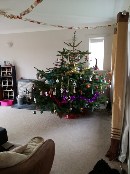 Lets see your trees!