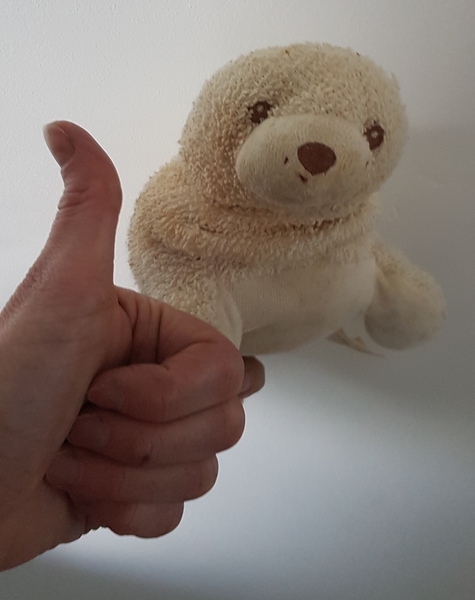 To harness the power of Mumsnet to make a little girl's Christmas...