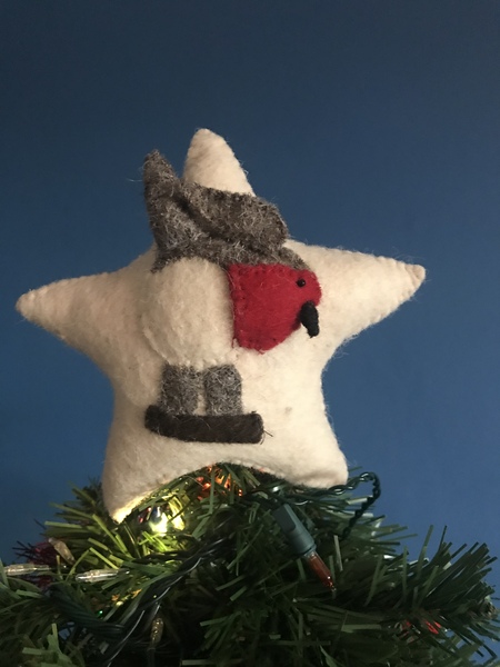 What, if anything, do you have on top of your tree?