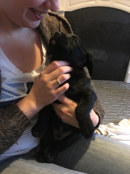 Puppy Survival Thread Part 5!