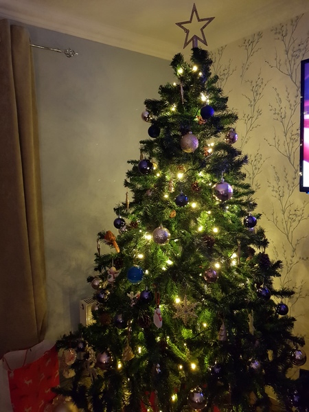 Lets see your trees!