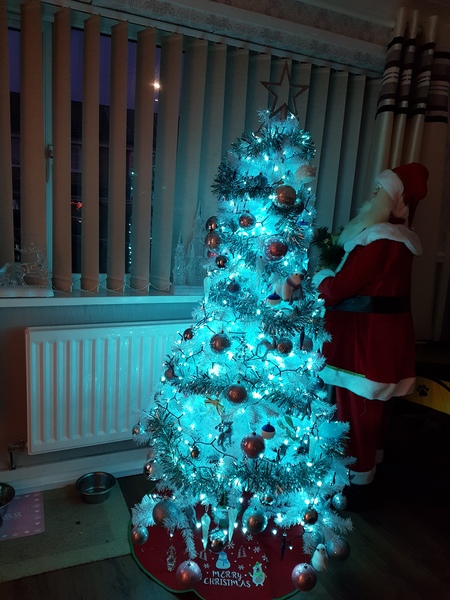 Lets see your trees!