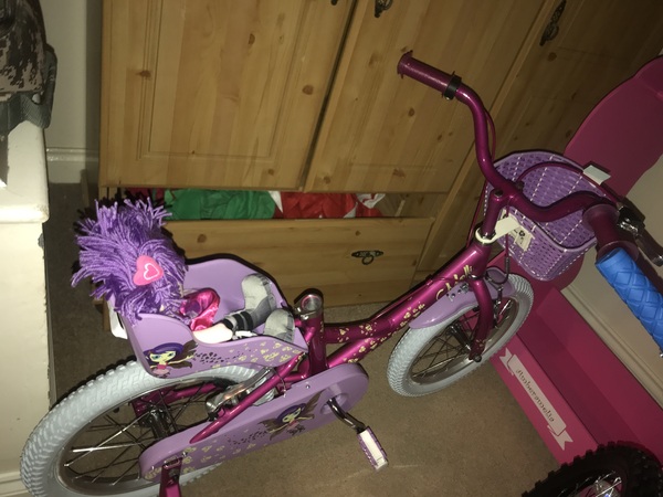 Bike disaster