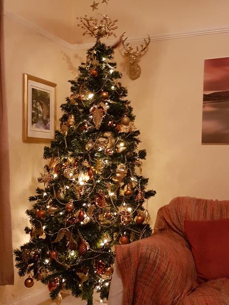 Help solve a debate (Christmas)