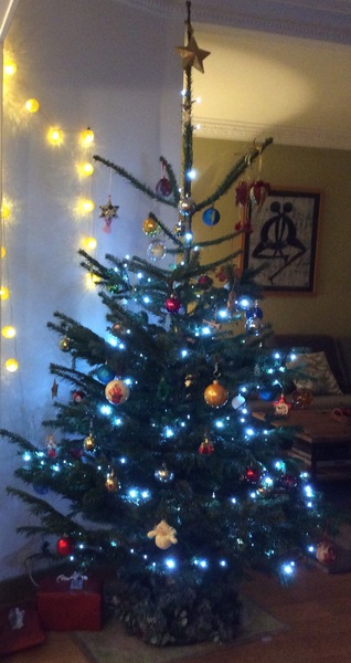 Lets see your trees!