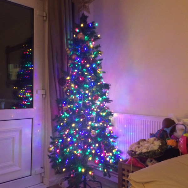 Lets see your trees!