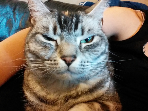 SHE wants to pat ME!