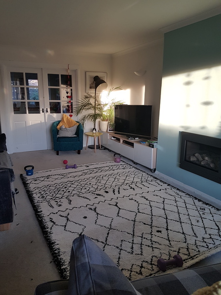 Help me choose a rug please