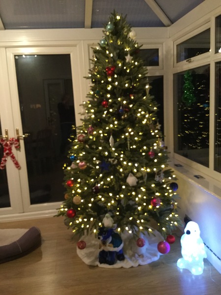 Lets see your trees!