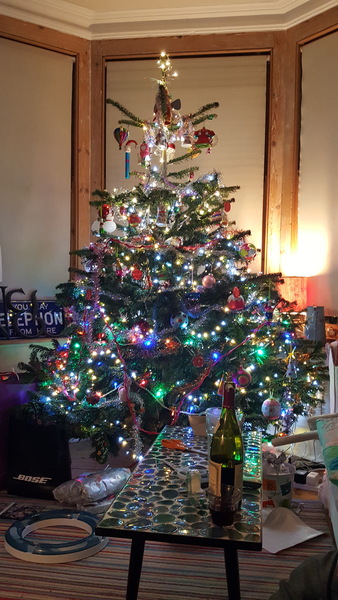 To want a peek at your tree?