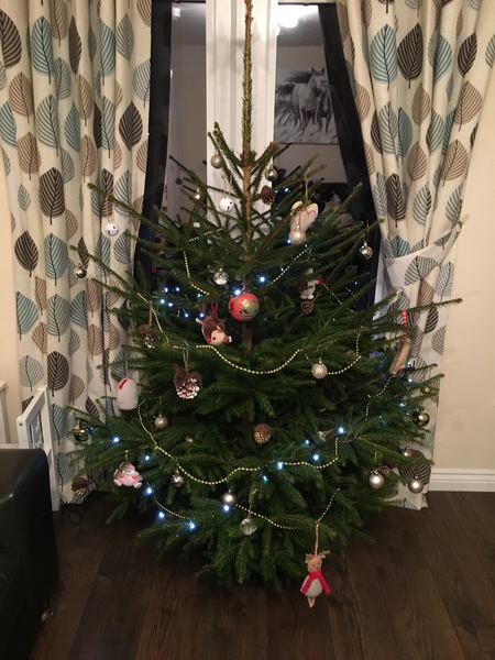 Lets see your trees!