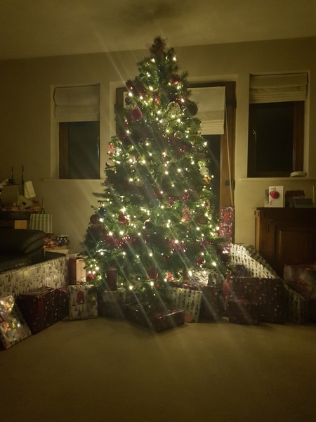 To want a peek at your tree?