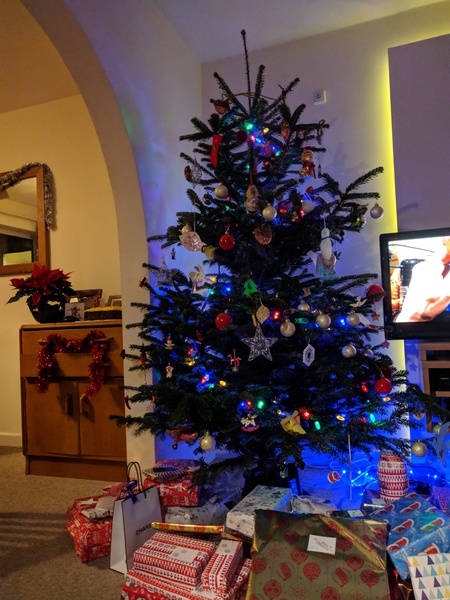 To want a peek at your tree?
