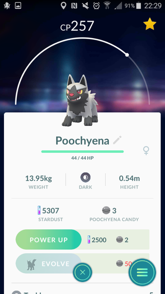 PokemonGo 13: I'm Bayleef, I'm the gardener, I walk from early dawn (to earn candy to evolve to Meganium)