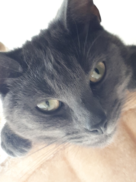 Sharing the Shitness - HOF Advent Calendar SPOILERS