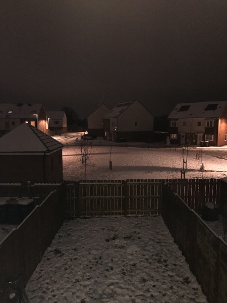 To ask to show me the view from your door