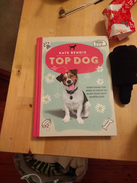Good introductory dog book?