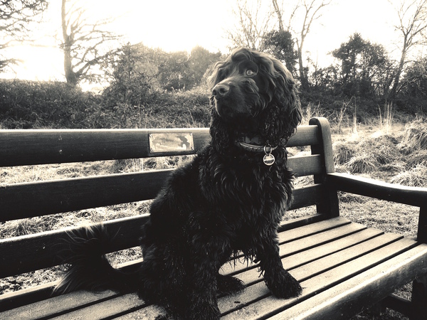 The Brave Babes Battle Bus - Braving The Wine Witch & Her Alcohol Free Autumn