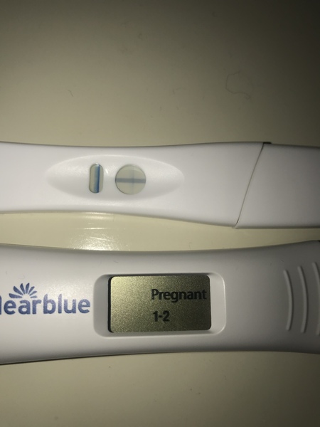 September 2018.... still trying to believe it's a BFP