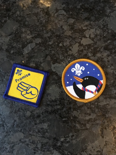 Beaver Badges!
