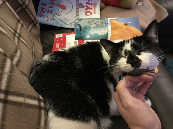 I don’t think he loves me any more!