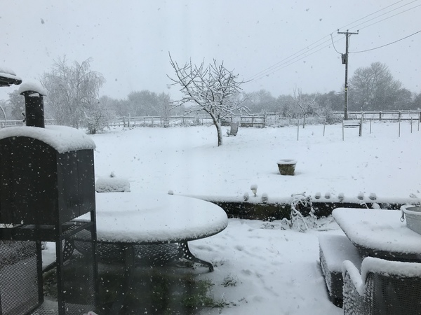 Week 9 - Low Carb Bootcamp - our last fortnight