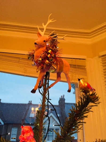 What, if anything, do you have on top of your tree?