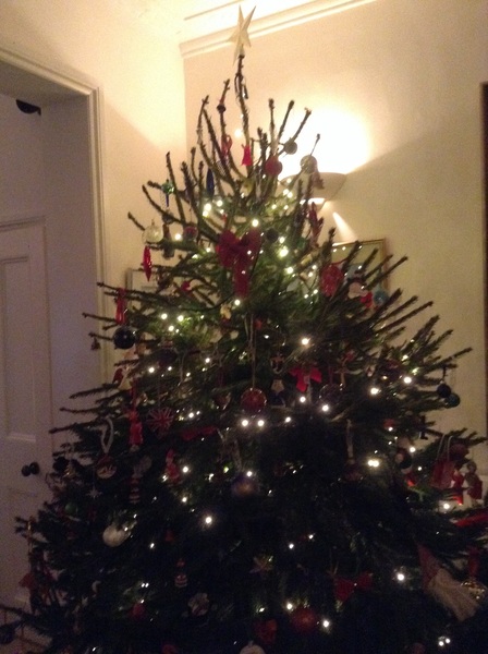 To want a peek at your tree?