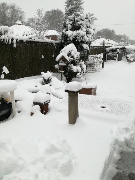 To ask to show me the view from your door