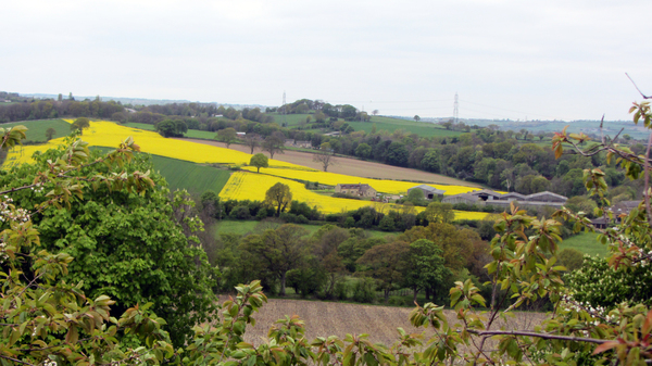 I don't understand the hype about Yorkshire?