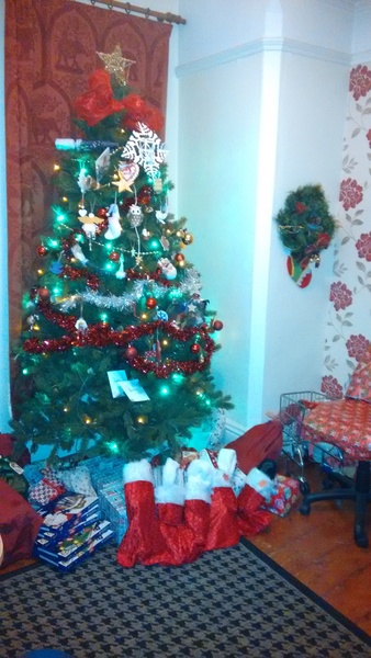 To want a peek at your tree?