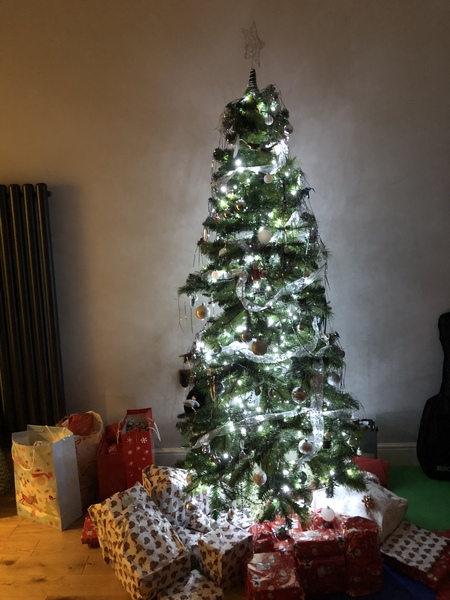 To want a peek at your tree?