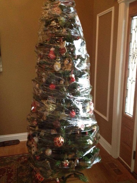 Cat climbing on christmas tree