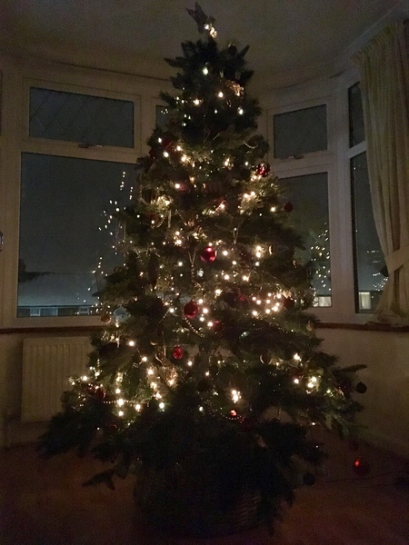 Lets see your trees!