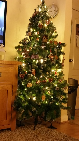 Lets see your trees!