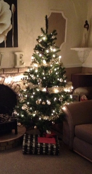 Help solve a debate (Christmas)
